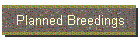 Planned Breedings