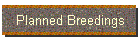 Planned Breedings