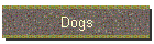 Dogs