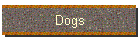 Dogs